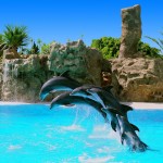 Канарские о-ва