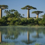 Мадагаскар